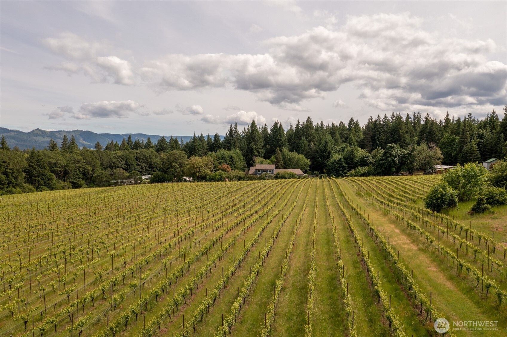 391 Newell Road Underwood, WA 98651 - Photo 10 of 22