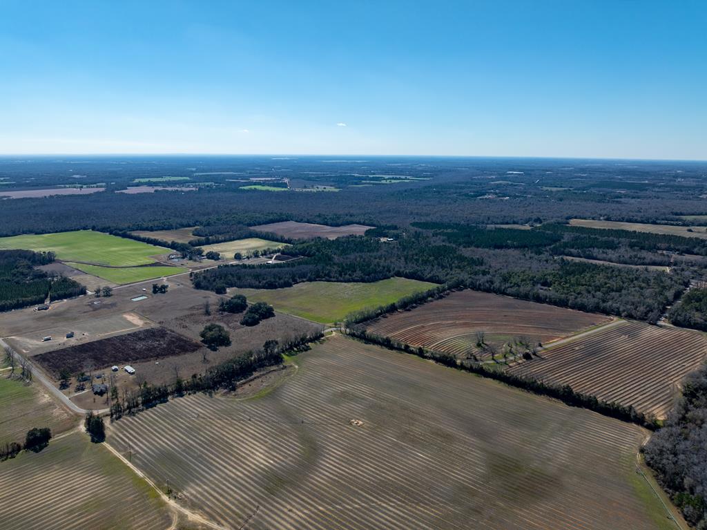 31.5-ac 31.5-ac Rammer Loop Road Dothan, AL 36301 - Photo 9 of 49