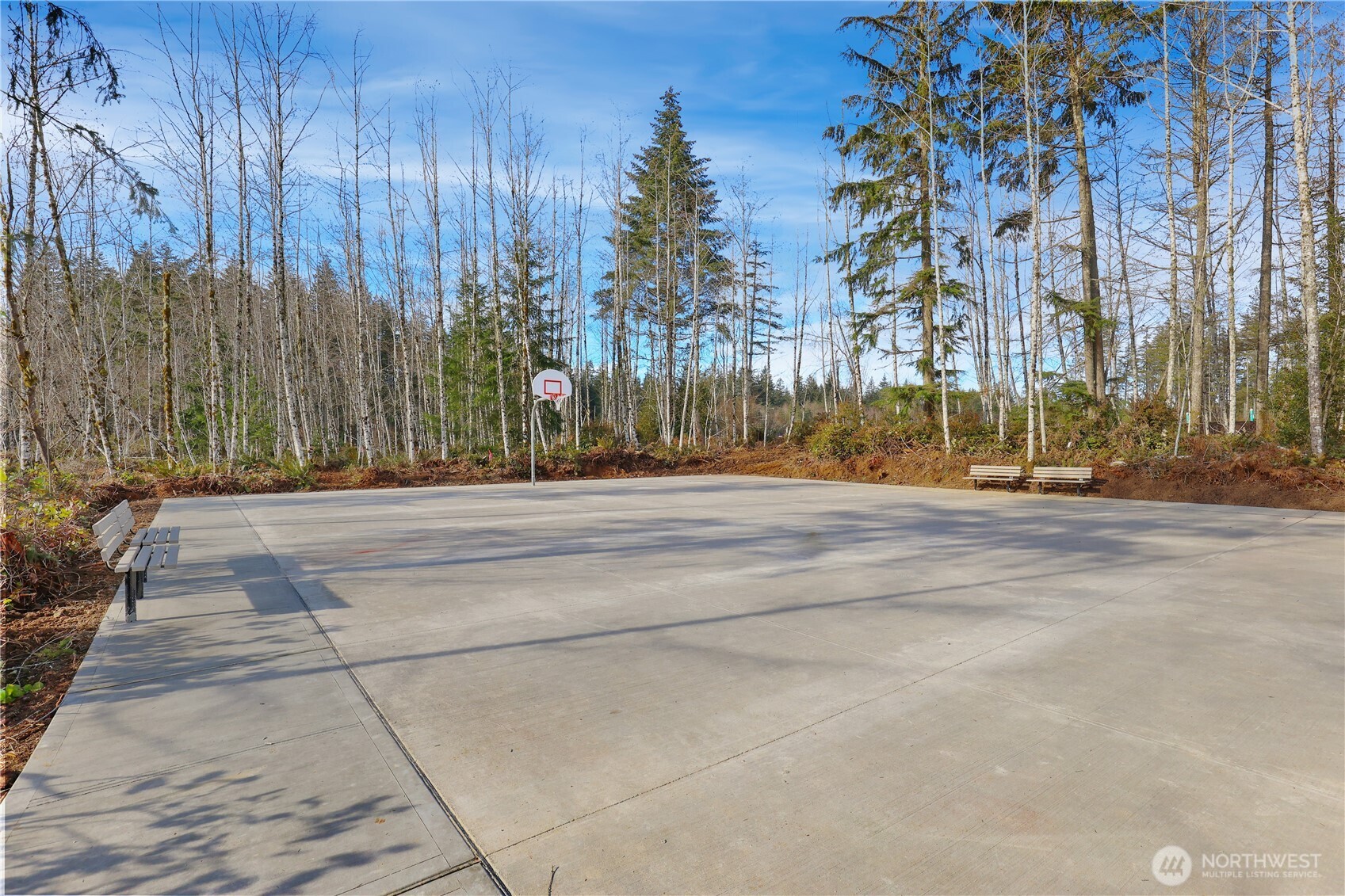 5661 Great Gln Road Southwest Port Orchard, WA 98367 - Photo 39 of 40 a street view with large trees