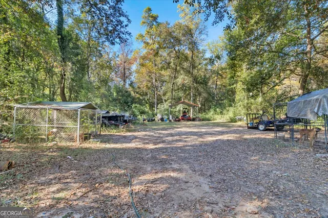 a view of a backyard with large trees