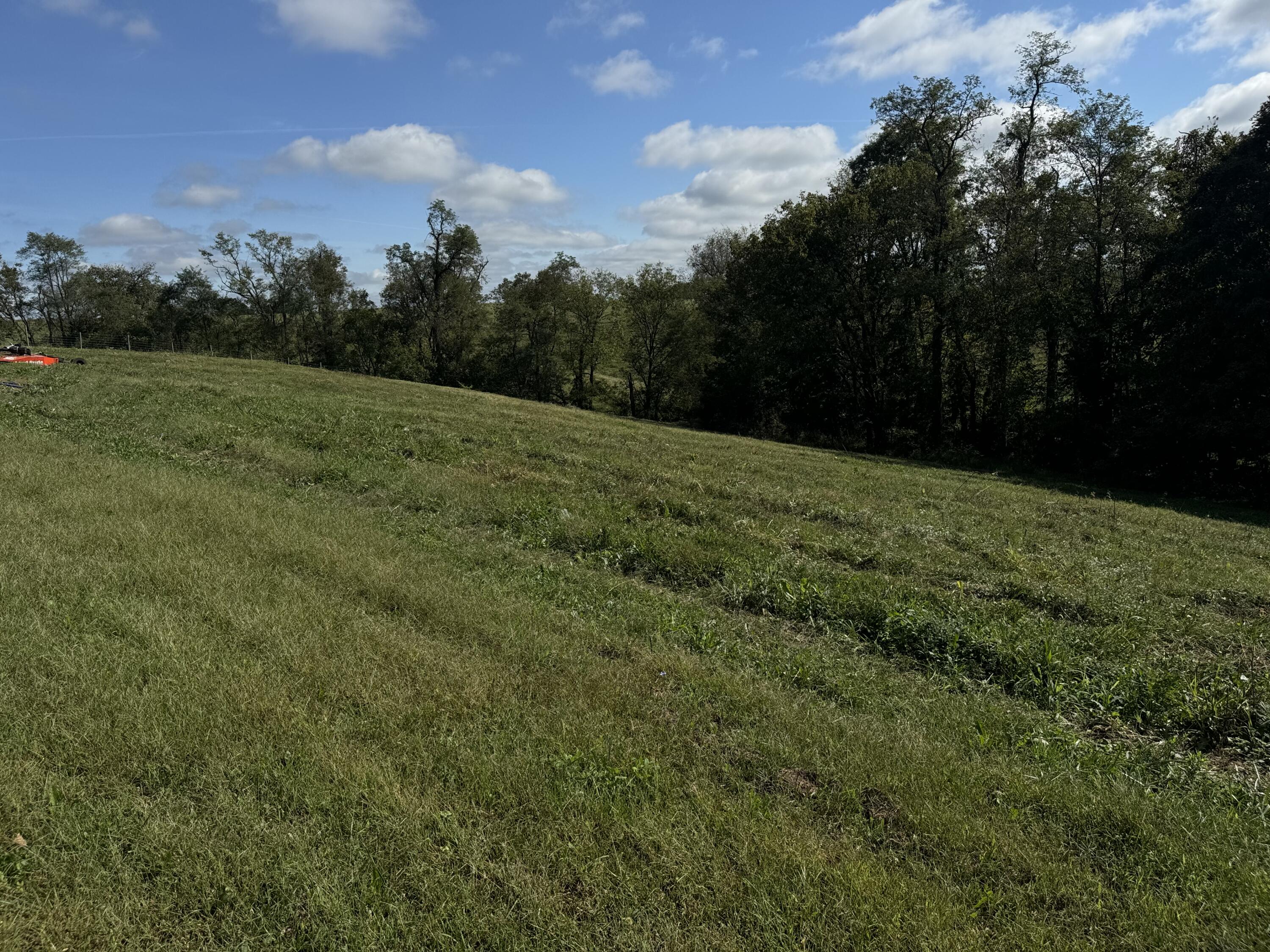 968 Nina Ridge Road Lancaster, KY 40444 - Photo 16 of 22 IMG_2551