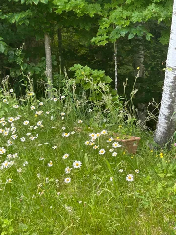 $149,000 | 420 Gale Chandler Road, Landaff, NH 03585