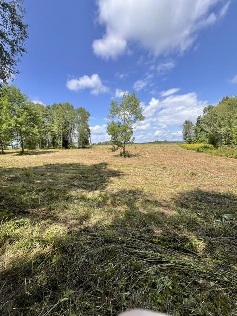 Lot 3 Off New Limerick Road Houlton, ME 04730 - Photo 2 of 30 IMG_2086