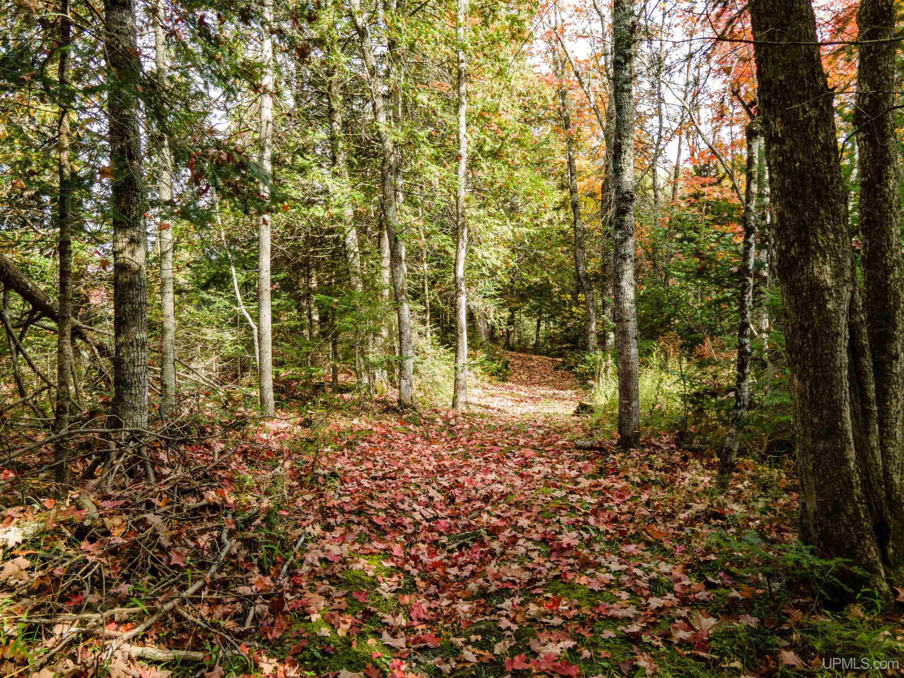 1319 Bates-Amasa Road Iron River, MI 49935 - Photo 33 of 43