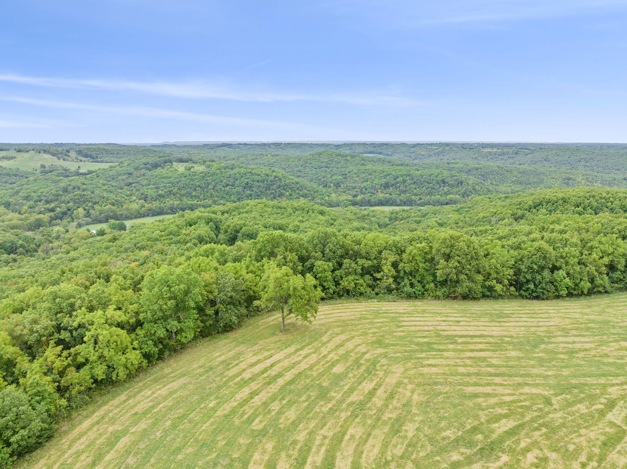 735 Co Road Sparta, MO 65753 - Photo 9 of 73 Views for Miles