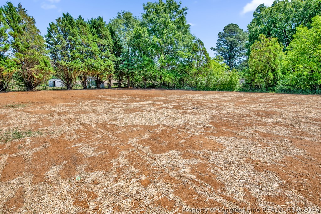 3025 Old Stage Road South Erwin, NC 28339 - Photo 44 of 50 a view of outdoor space and yard