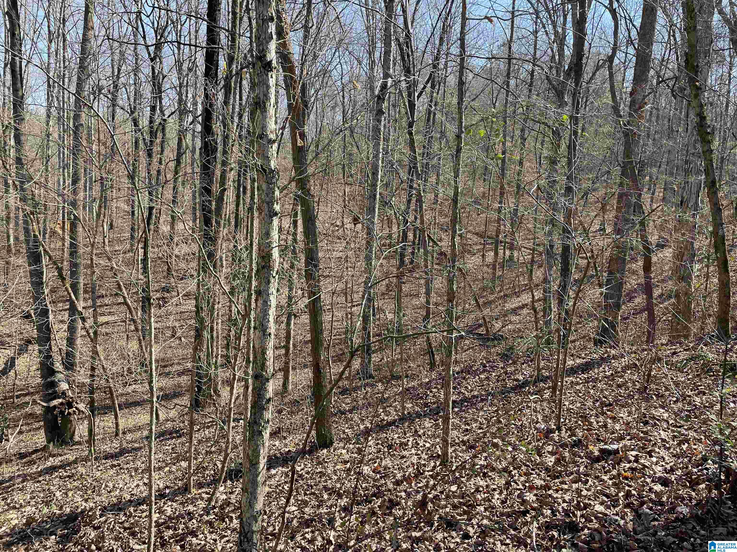 0 County Road 159, Unit 79 AC Heflin, AL 36264 - Photo 11 of 14