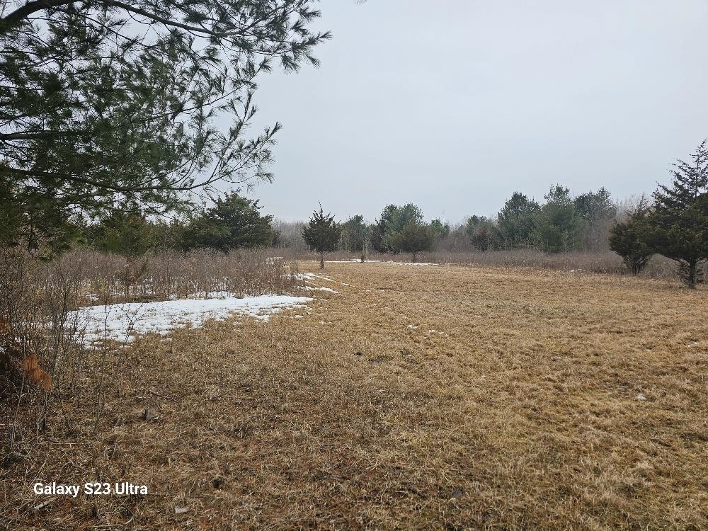 Three 3 Rivers Road Gladwin, MI 48624 - Photo 4 of 13