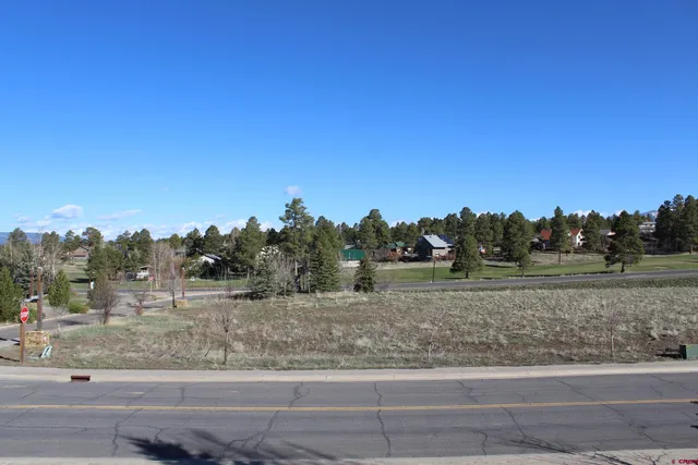 a view of a dry yard with trees