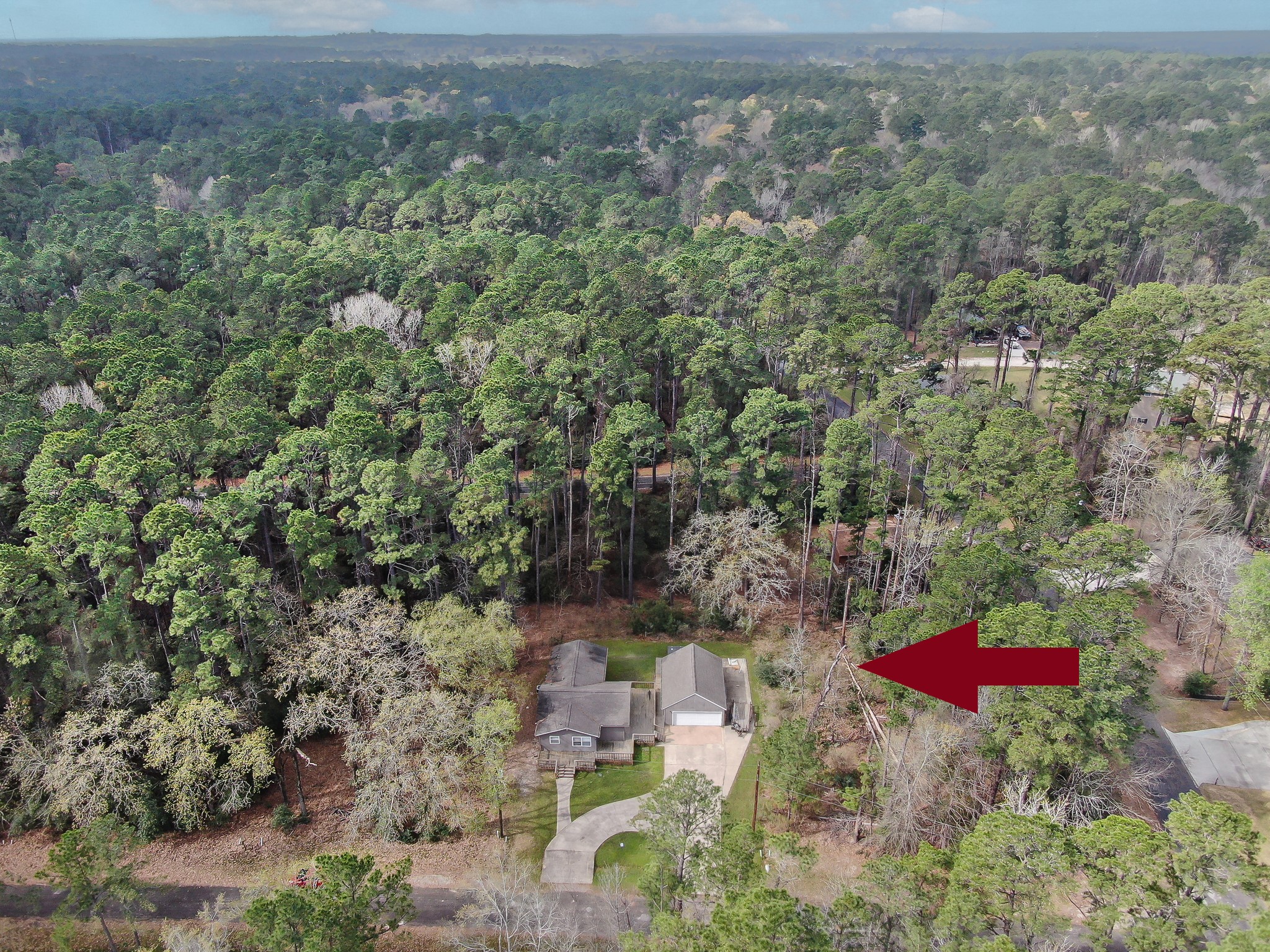 6 Hollow Forest Trinity, TX 75862 - Photo 14 of 38
