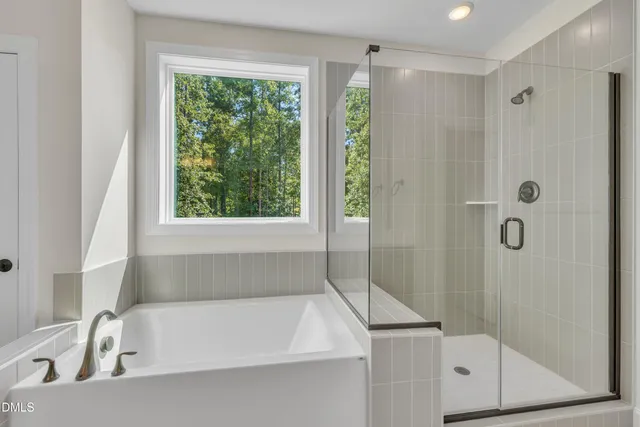 a bathroom with a bath tub and a shower