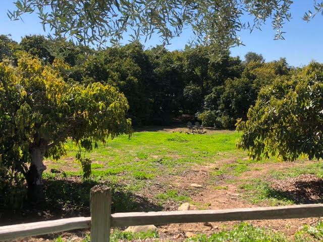 1 Monte Alegre Drive Carpinteria, CA 93013 - Photo 16 of 19 18-RMA Lot 1 - Open Space