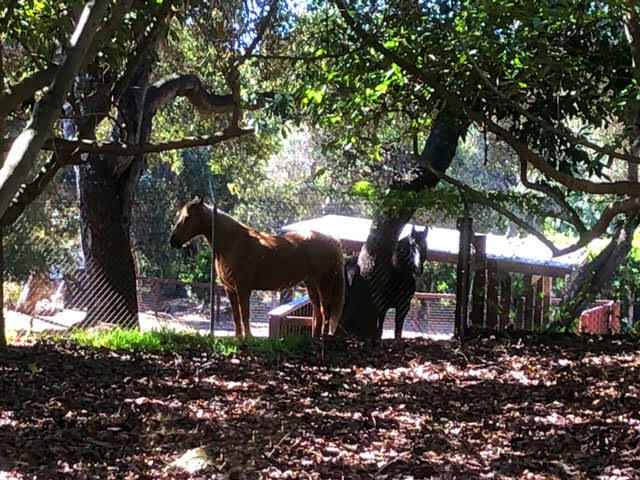1 Monte Alegre Drive Carpinteria, CA 93013 - Photo 19 of 19 23-RMA Lot 1 - Neighbors