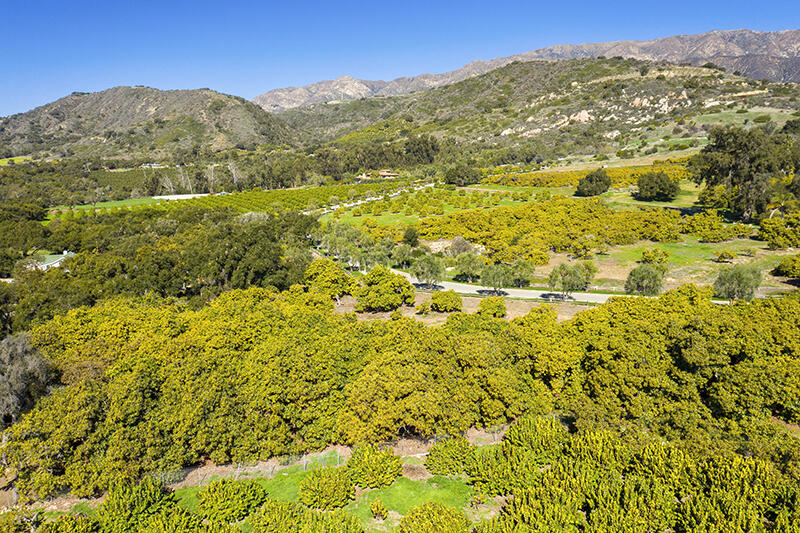1 Monte Alegre Drive Carpinteria, CA 93013 - Photo 10 of 19 12-RMA-Santa Monica Rd_0011-Lot 1