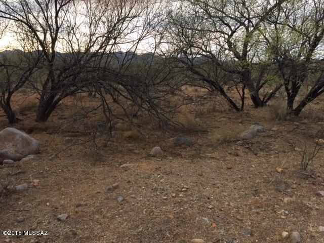 1886 Circulo Mexicali, Unit 161 Rio Rico, AZ 85648 - Photo 4 of 5