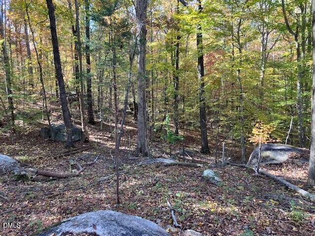 9 Buttonwood Lane Roxboro, NC 27574 - Photo 4 of 7 View