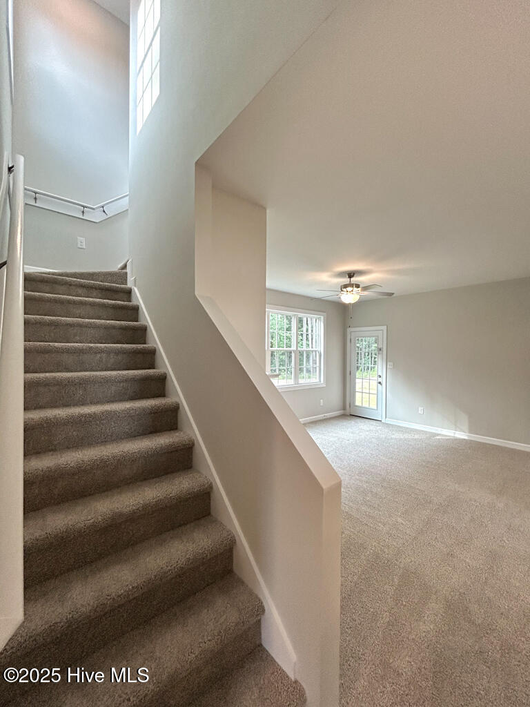 265 Browns Ferry Road Jacksonville, NC 28546 - Photo 38 of 62 SIMILAR PHOTO