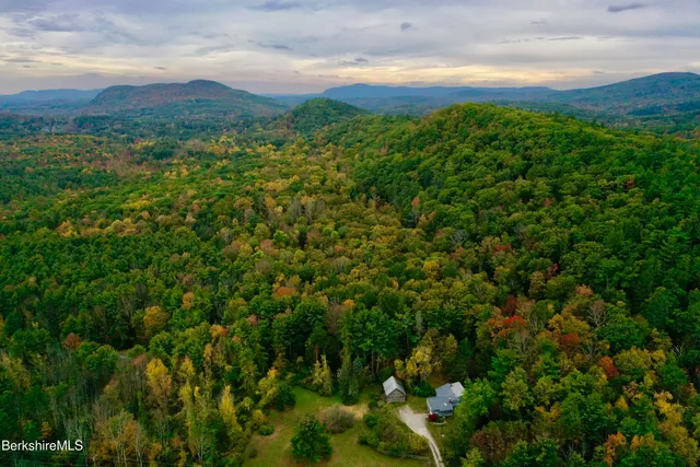 a view of a field of grass and trees