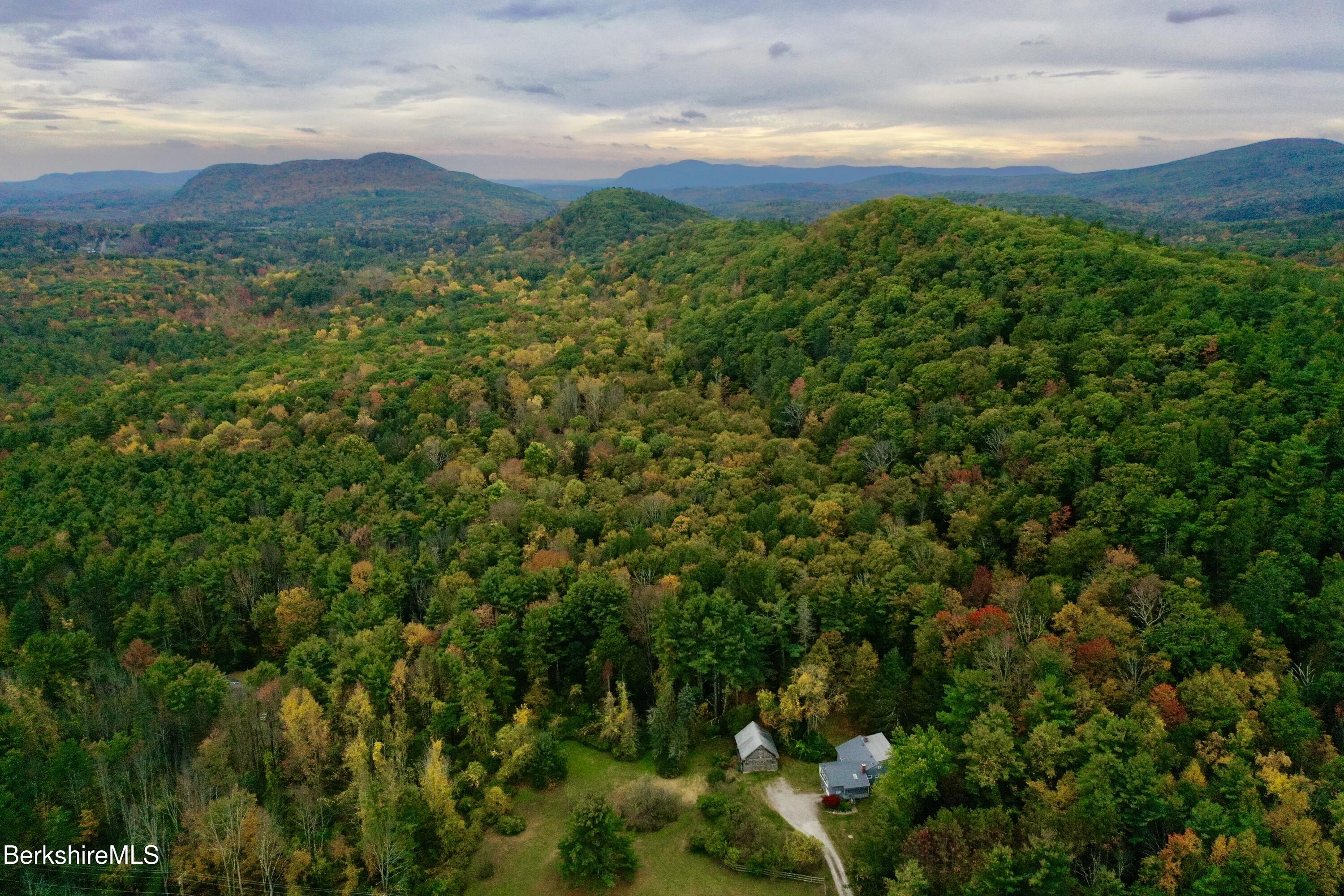 a view of a field of grass and trees