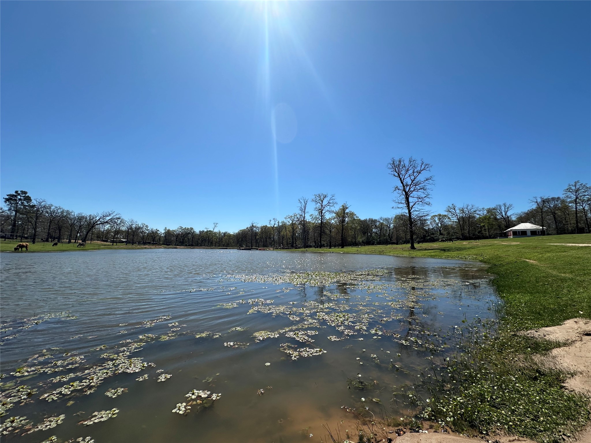 8773 I-45 Street South Centerville, TX 75833 - Photo 22 of 35 a view of lake