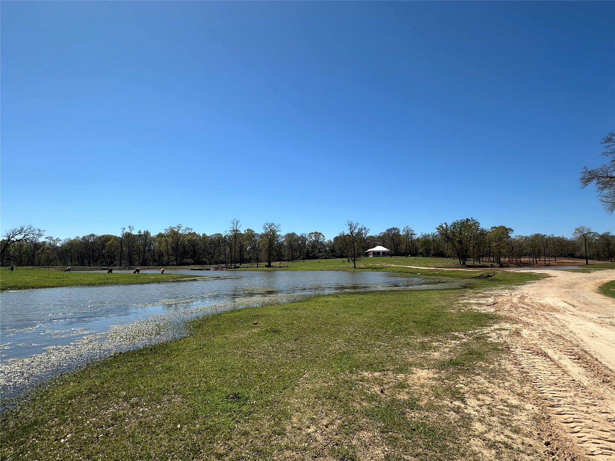 8773 I-45 Street South Centerville, TX 75833 - Photo 23 of 35 a view of an ocean and beach