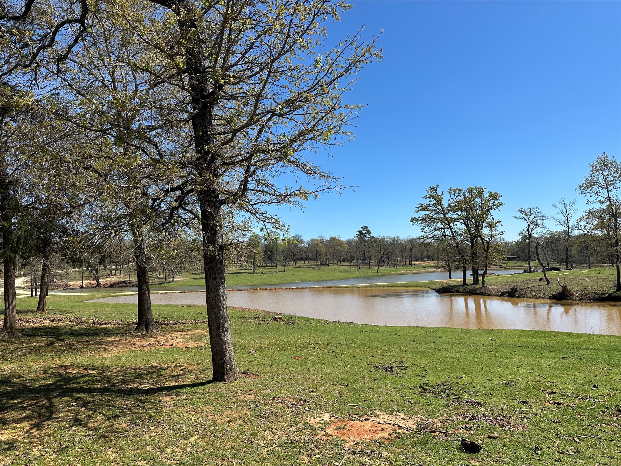 8773 I-45 Street South Centerville, TX 75833 - Photo 25 of 35 a view of a lake with a yard and large trees