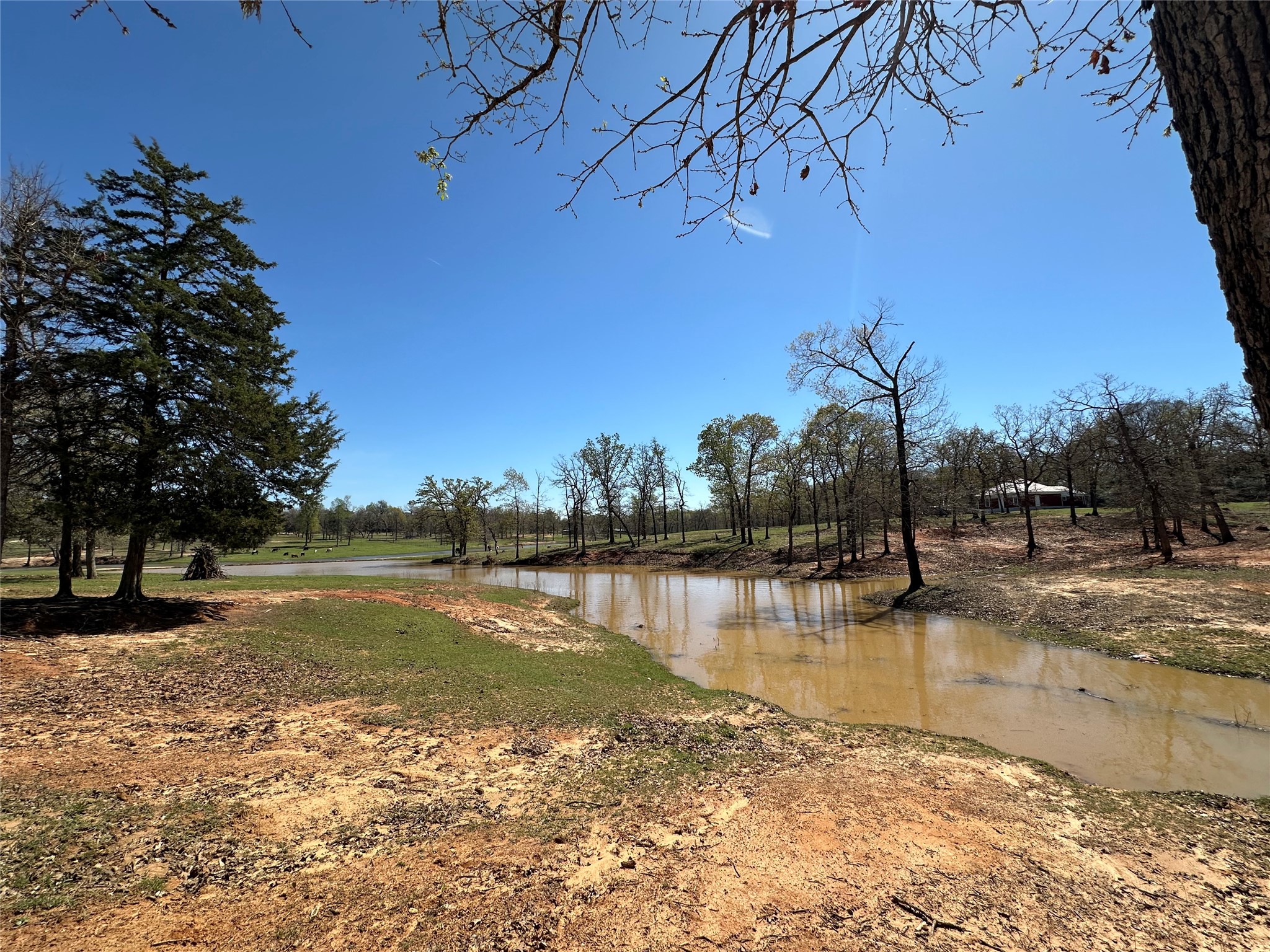 8773 I-45 Street South Centerville, TX 75833 - Photo 26 of 35 a view of a lake with houses