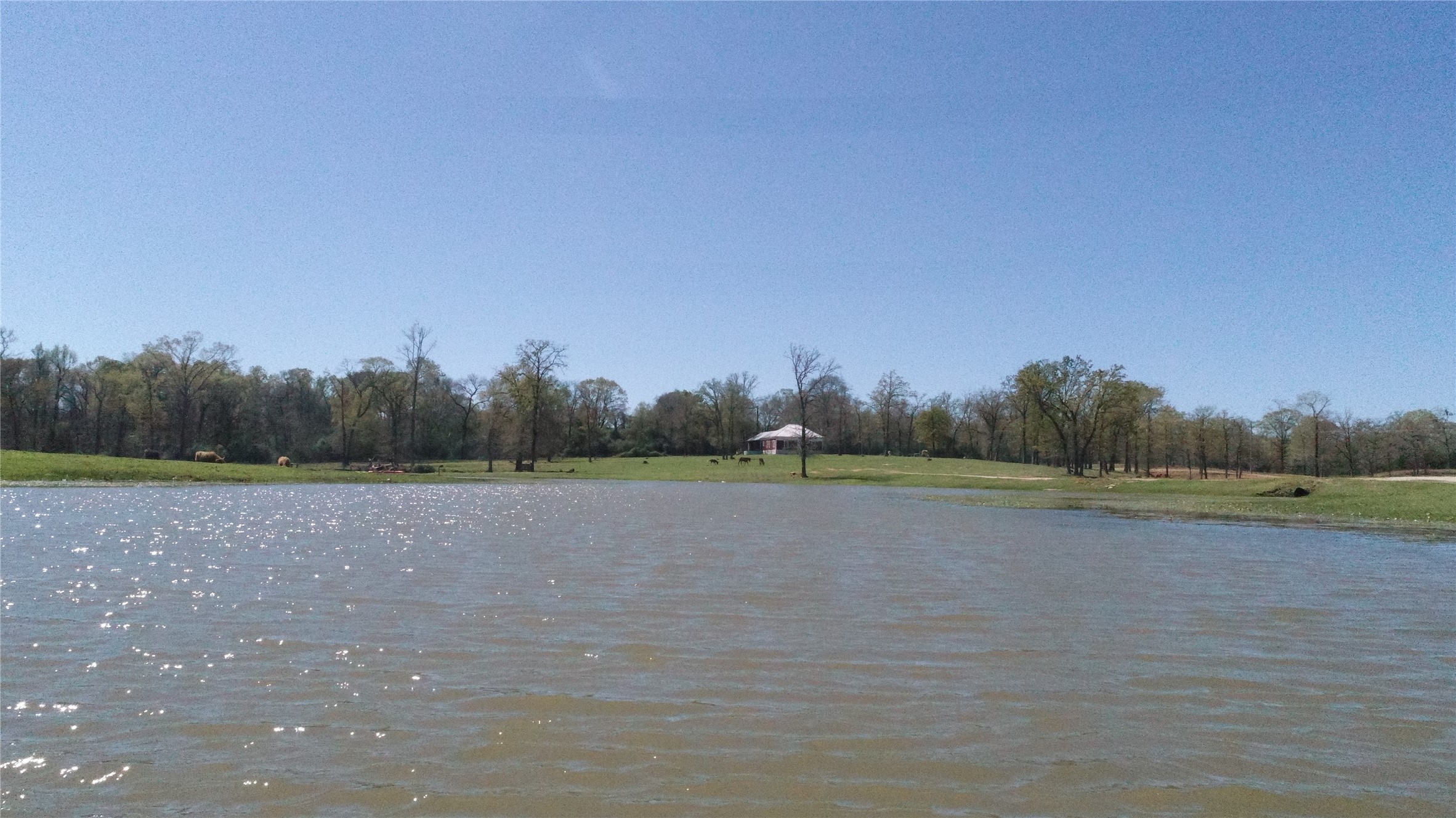 8773 I-45 Street South Centerville, TX 75833 - Photo 34 of 35 a view of lake and mountain