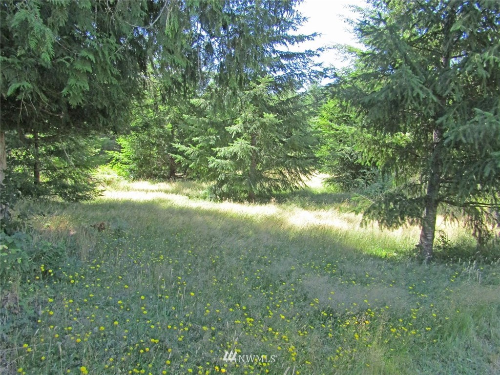 119 Belcher Road Randle, WA 98377 - Photo 30 of 39 Gallery Image 30
