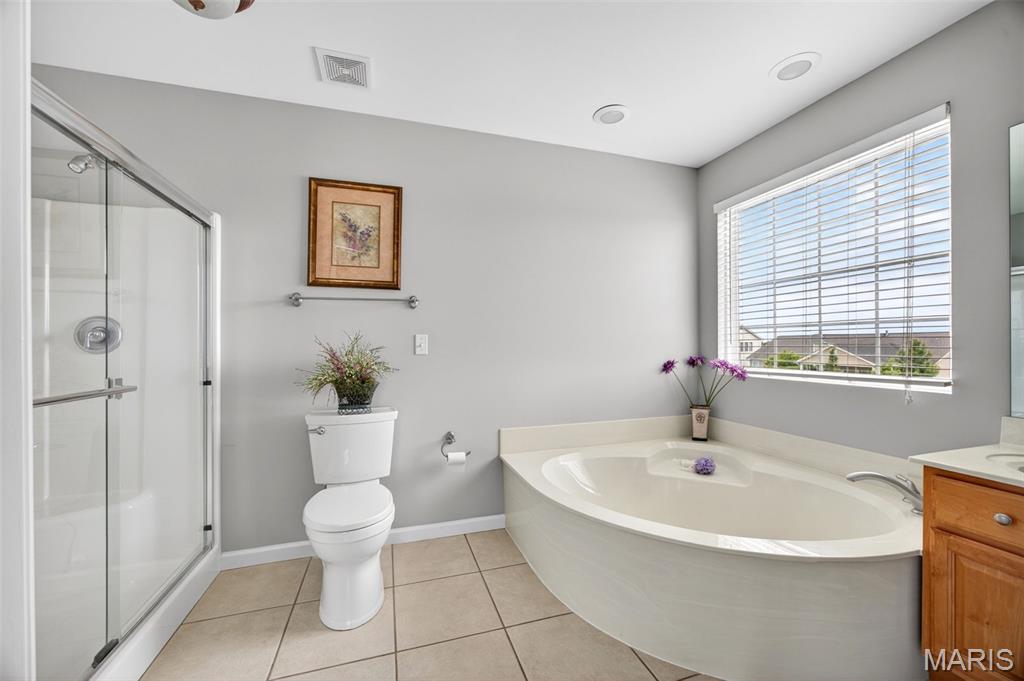 1214 Sunny Ridge Drive O'Fallon, MO 63366 - Photo 31 of 40