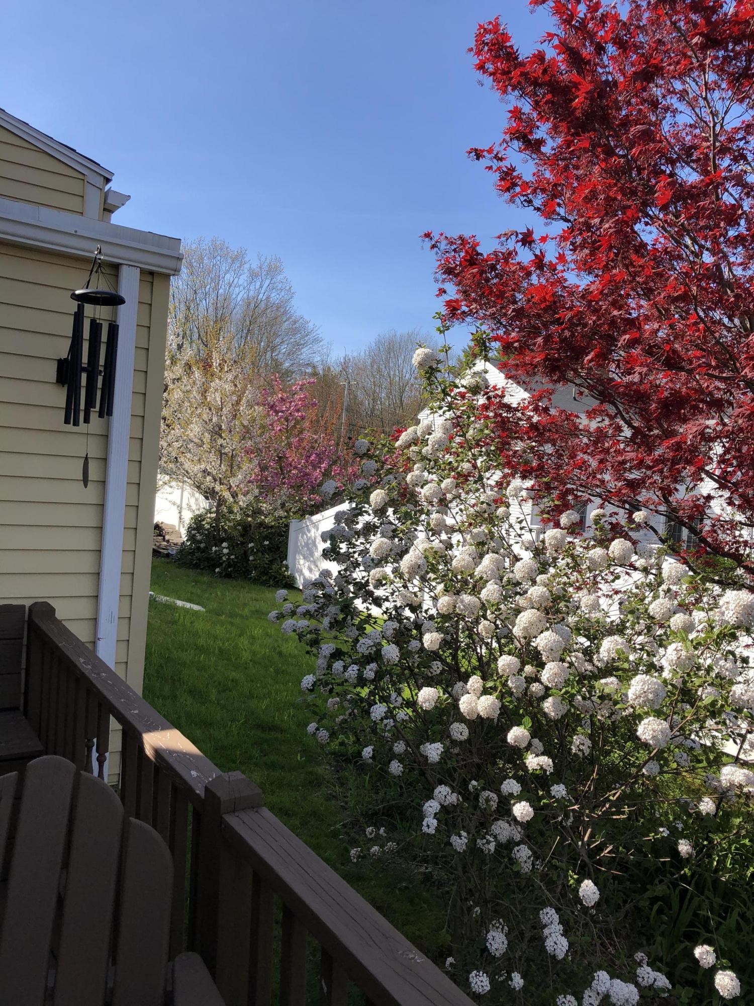 1847 Post Road Wells, ME 04090 - Photo 20 of 116 E0694579-5498-447C-A6F3-75700A8F14D0