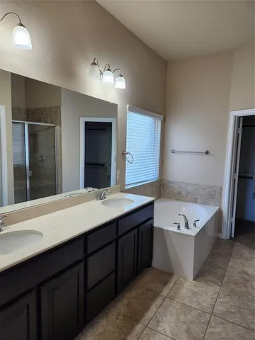 a bathroom with a tub a sink and a mirror