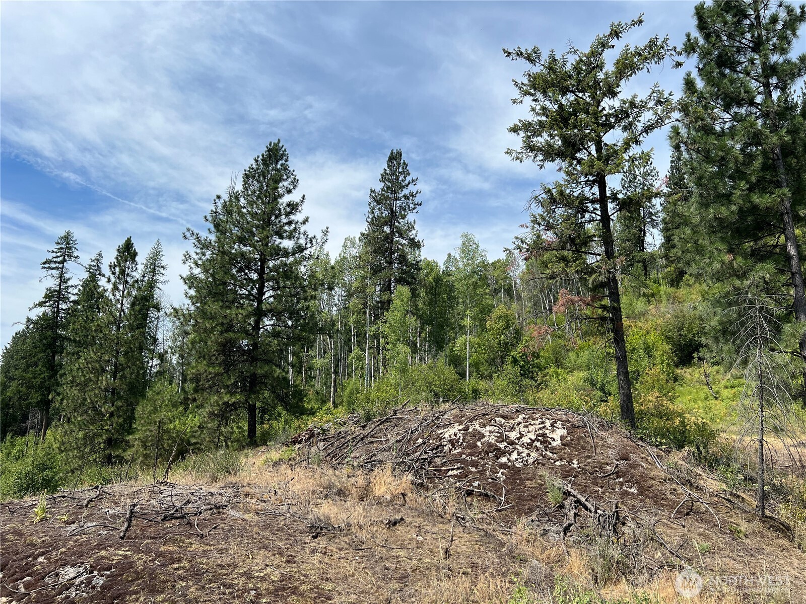 -1 Tbd Mitchell Road Northport, WA 99157 - Photo 3 of 9