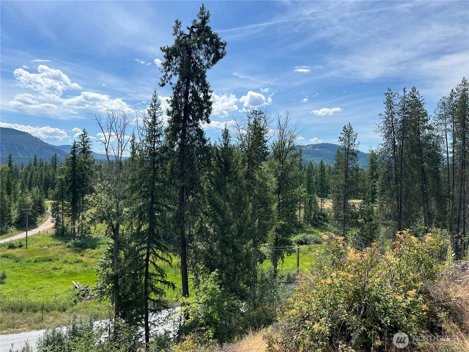 -1 Tbd Mitchell Road Northport, WA 99157 - Photo 5 of 9