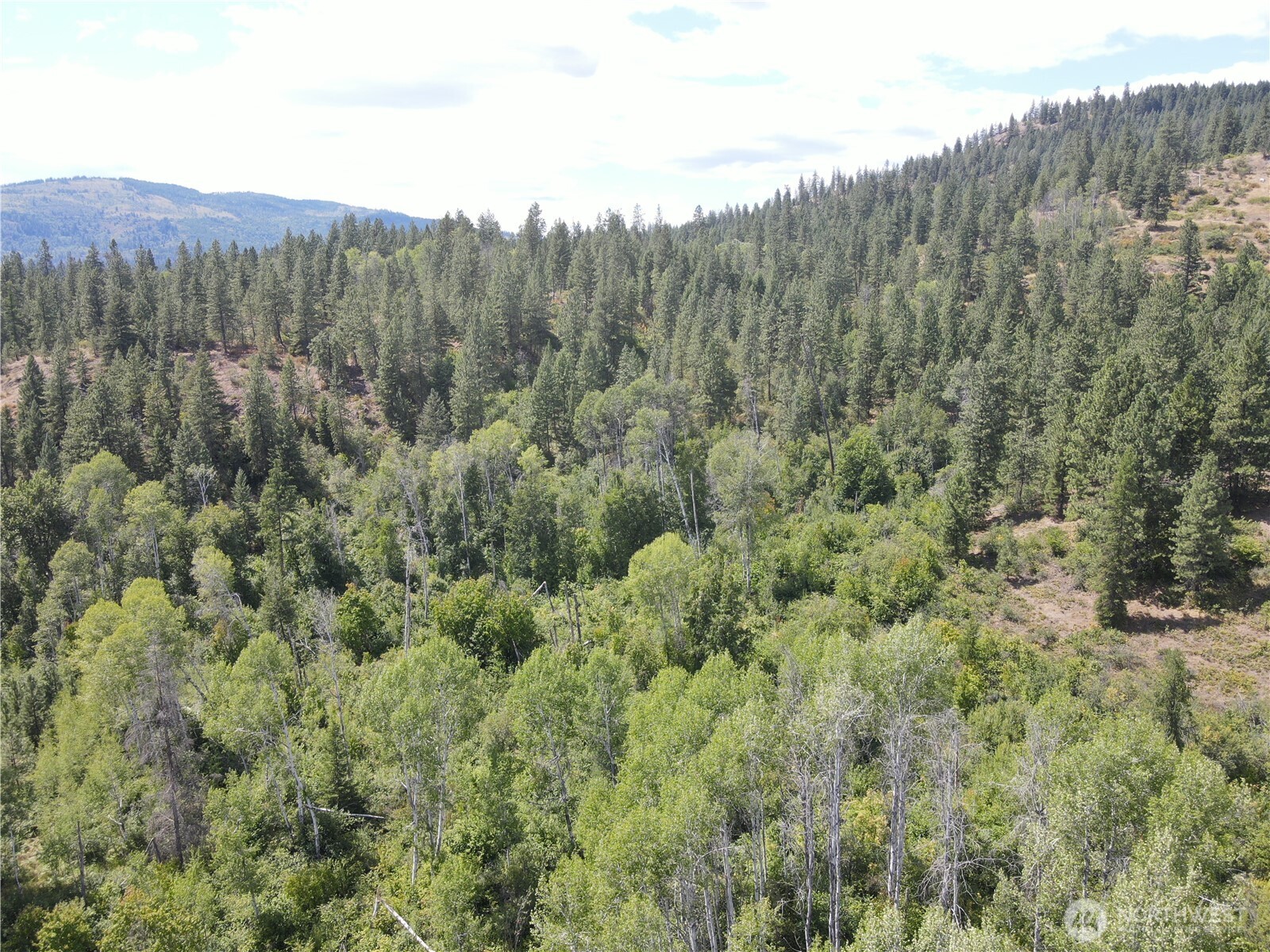 -1 Tbd Mitchell Road Northport, WA 99157 - Photo 9 of 9