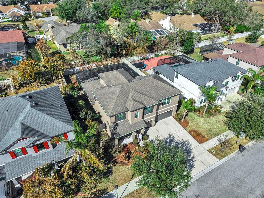 2935 Shetland Ridge Drive Valrico, FL 33596 - Photo 67 of 77