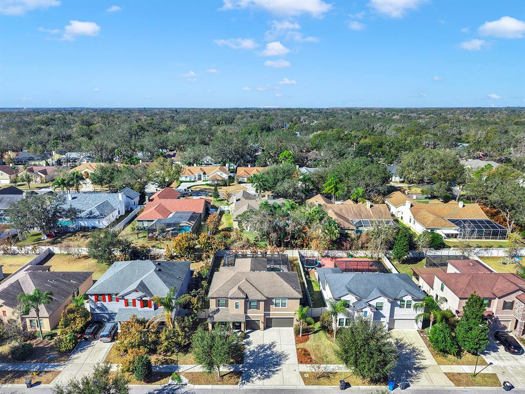 2935 Shetland Ridge Drive Valrico, FL 33596 - Photo 68 of 77