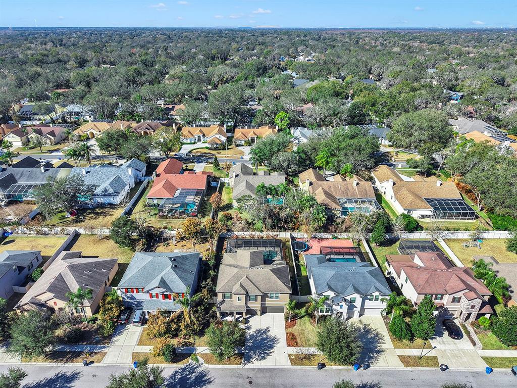 2935 Shetland Ridge Drive Valrico, FL 33596 - Photo 69 of 77