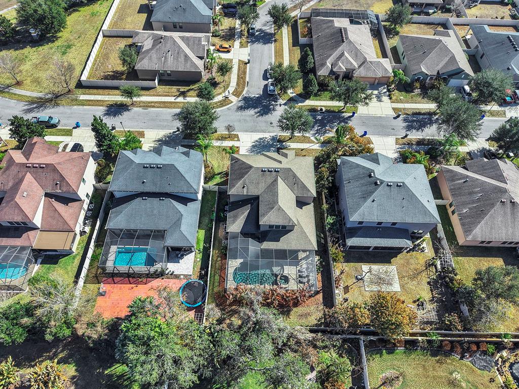 2935 Shetland Ridge Drive Valrico, FL 33596 - Photo 73 of 77