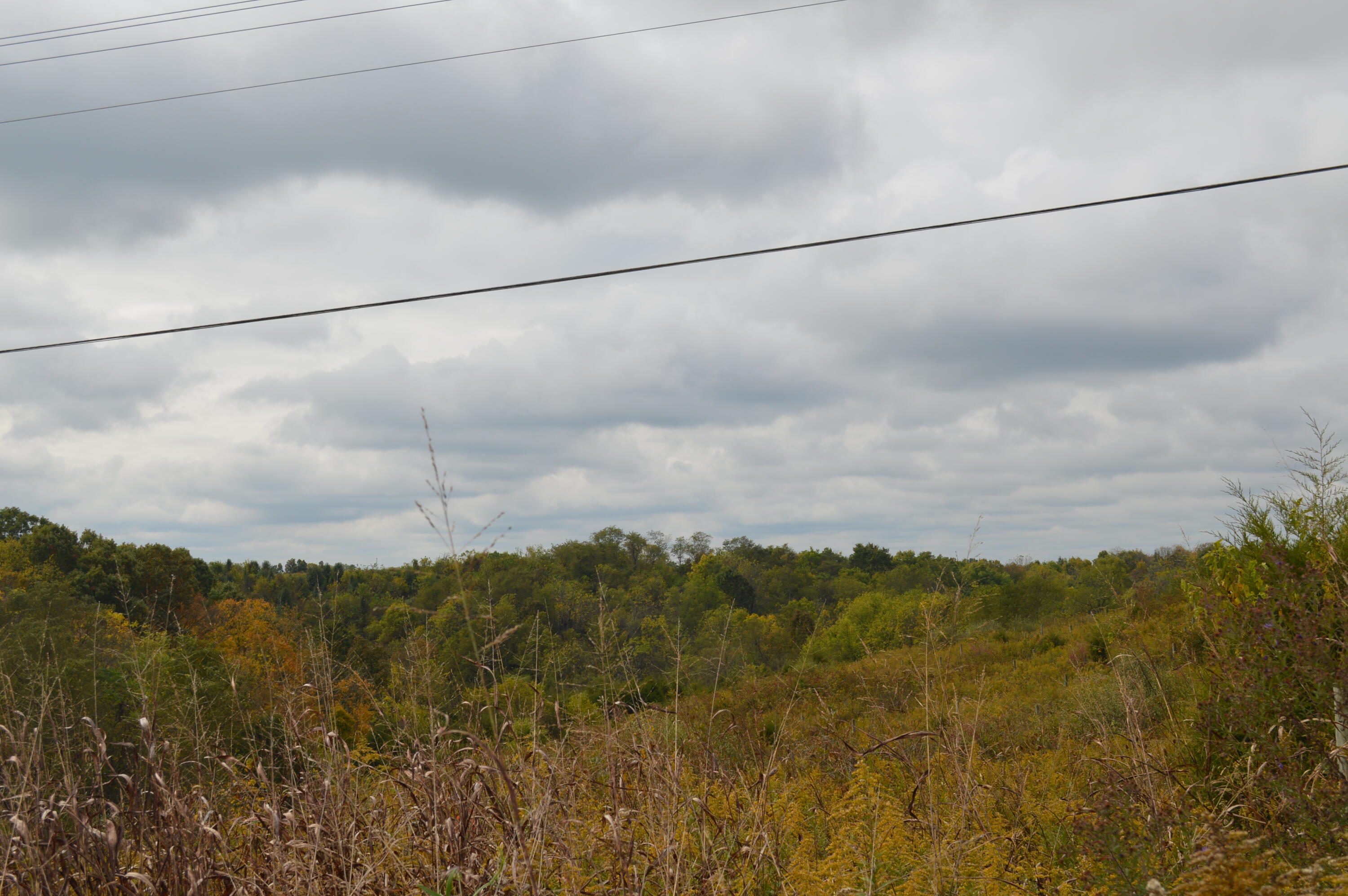 Lot # Georgetown Road Owenton, KY 40359 - Photo 12 of 13 DSC_0102