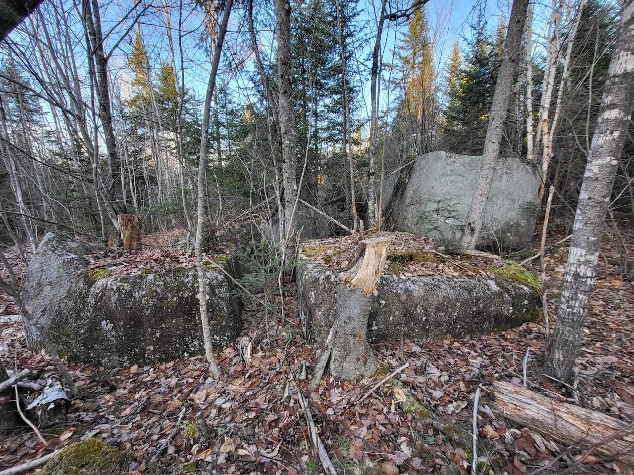 Lot 1 South Oakfield Road Houlton, ME 04730 - Photo 11 of 26 Resized_20231223_151822_1705516146892