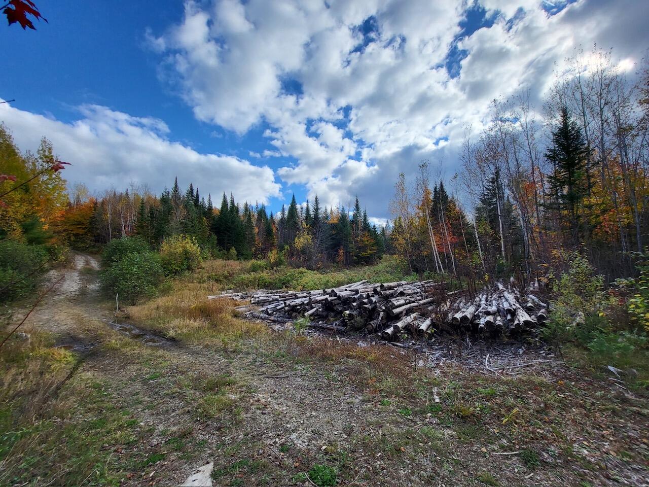 Lot 1 South Oakfield Road Houlton, ME 04730 - Photo 15 of 26 Resized_20231018_133310_1705516203627