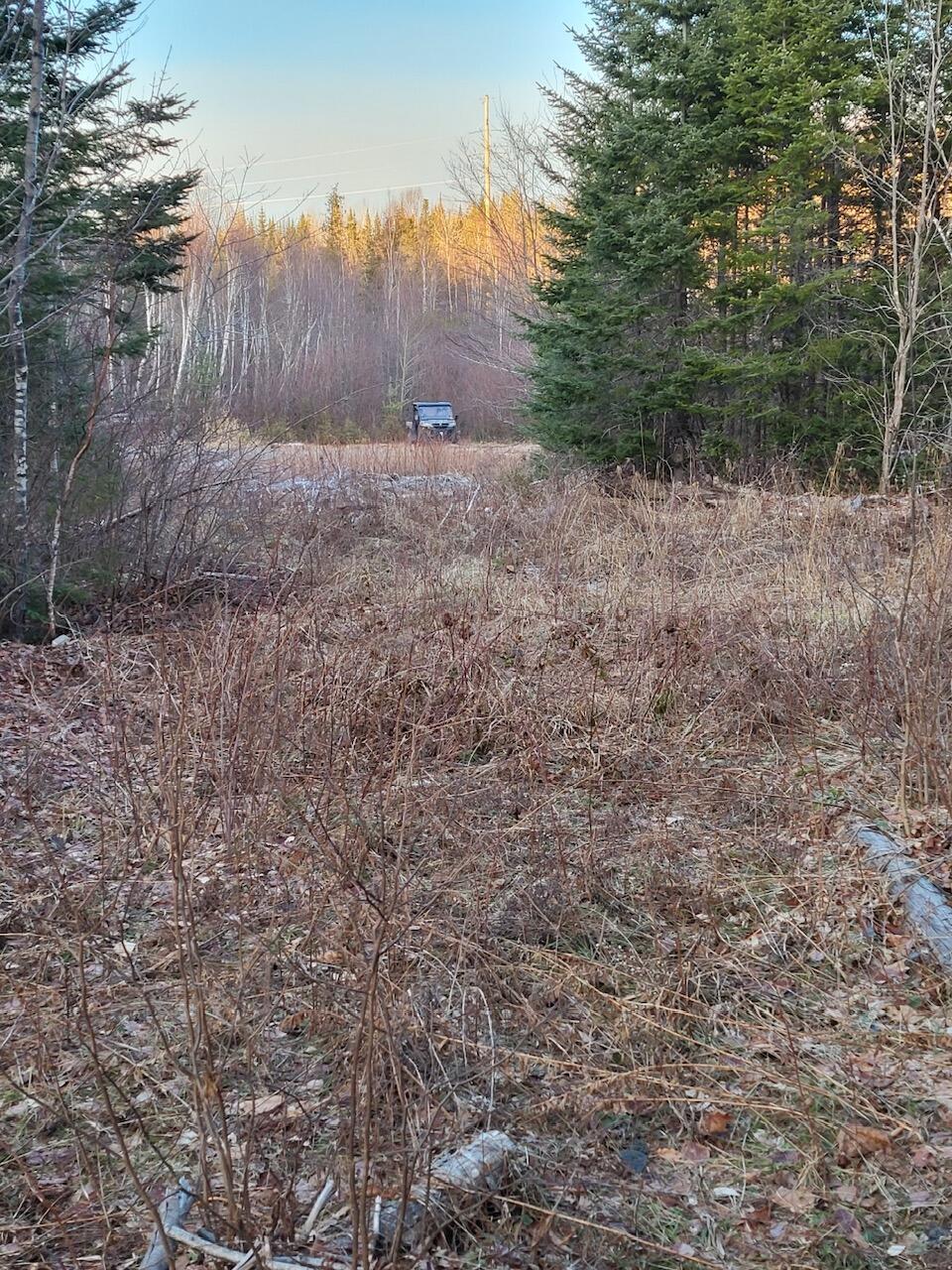 Lot 1 South Oakfield Road Houlton, ME 04730 - Photo 16 of 26 Resized_20231223_152007_1705516128064