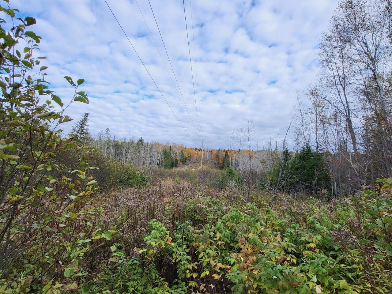 Lot 1 South Oakfield Road Houlton, ME 04730 - Photo 18 of 26 Resized_20231018_150501_1705516186883