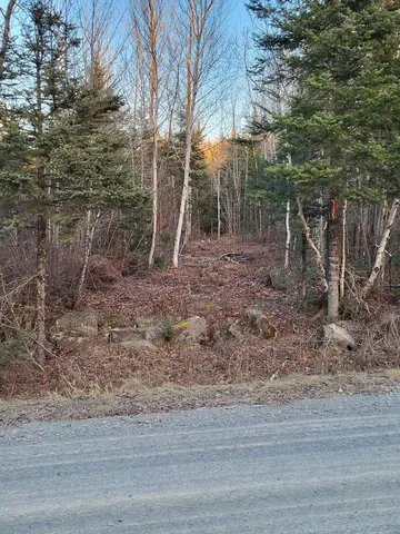 $28,900 | Lot 1 South Oakfield Road, Houlton, ME 04730