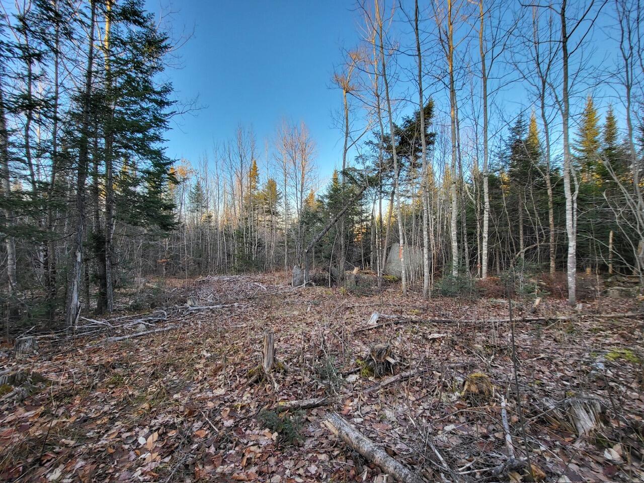 Lot 1 South Oakfield Road Houlton, ME 04730 - Photo 8 of 26 Resized_20231223_151654_1705516163758