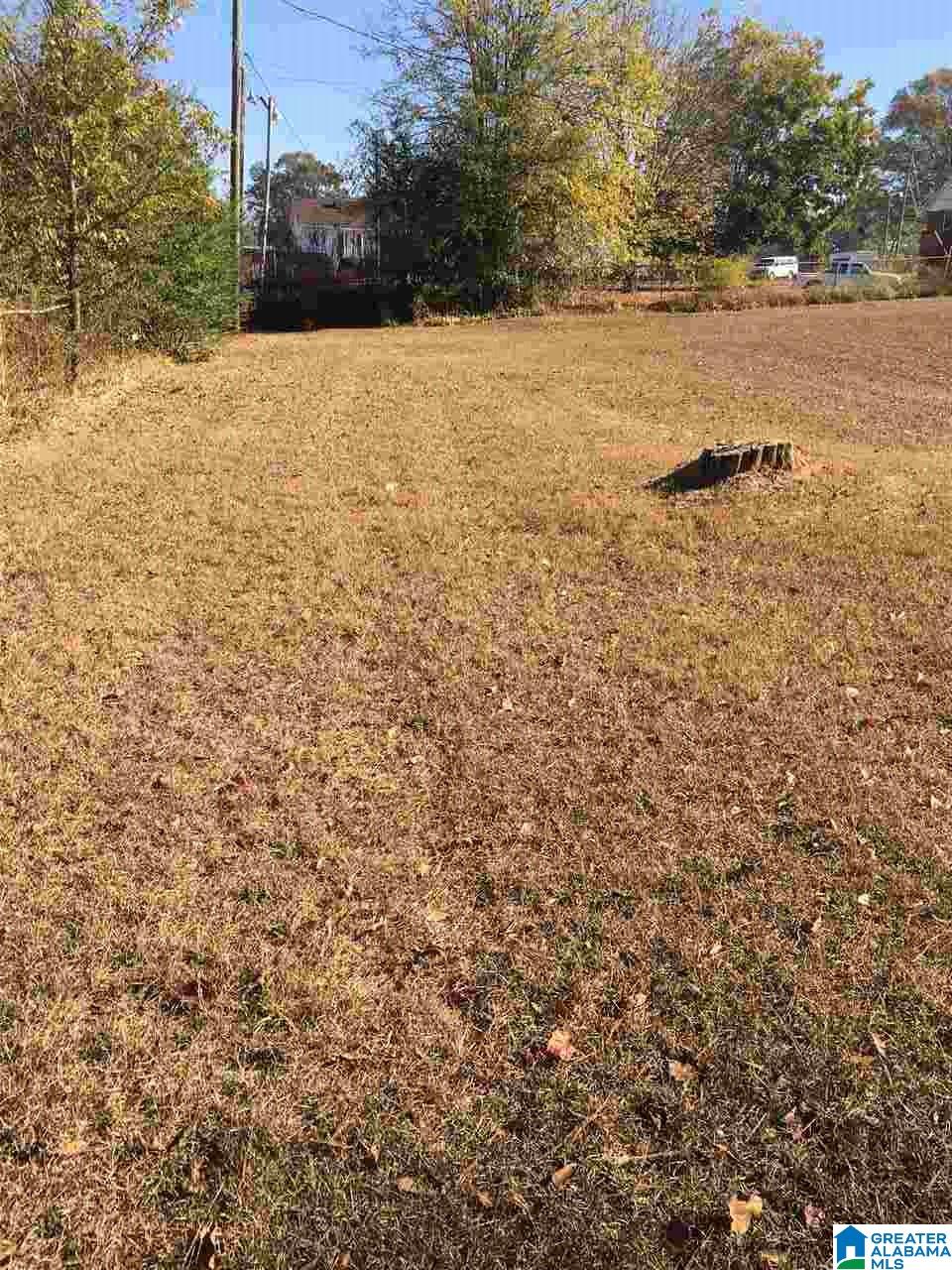 17 Ridgecrest Drive Eastaboga, AL 36260 - Photo 20 of 22