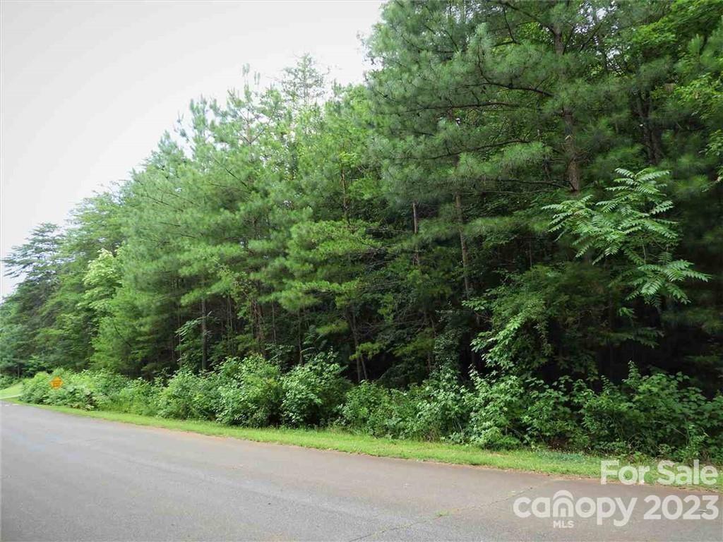 0 Chisholm Trail, Unit 54 Rutherfordton, NC 28139 - Photo 1 of 2 Gallery Image 1