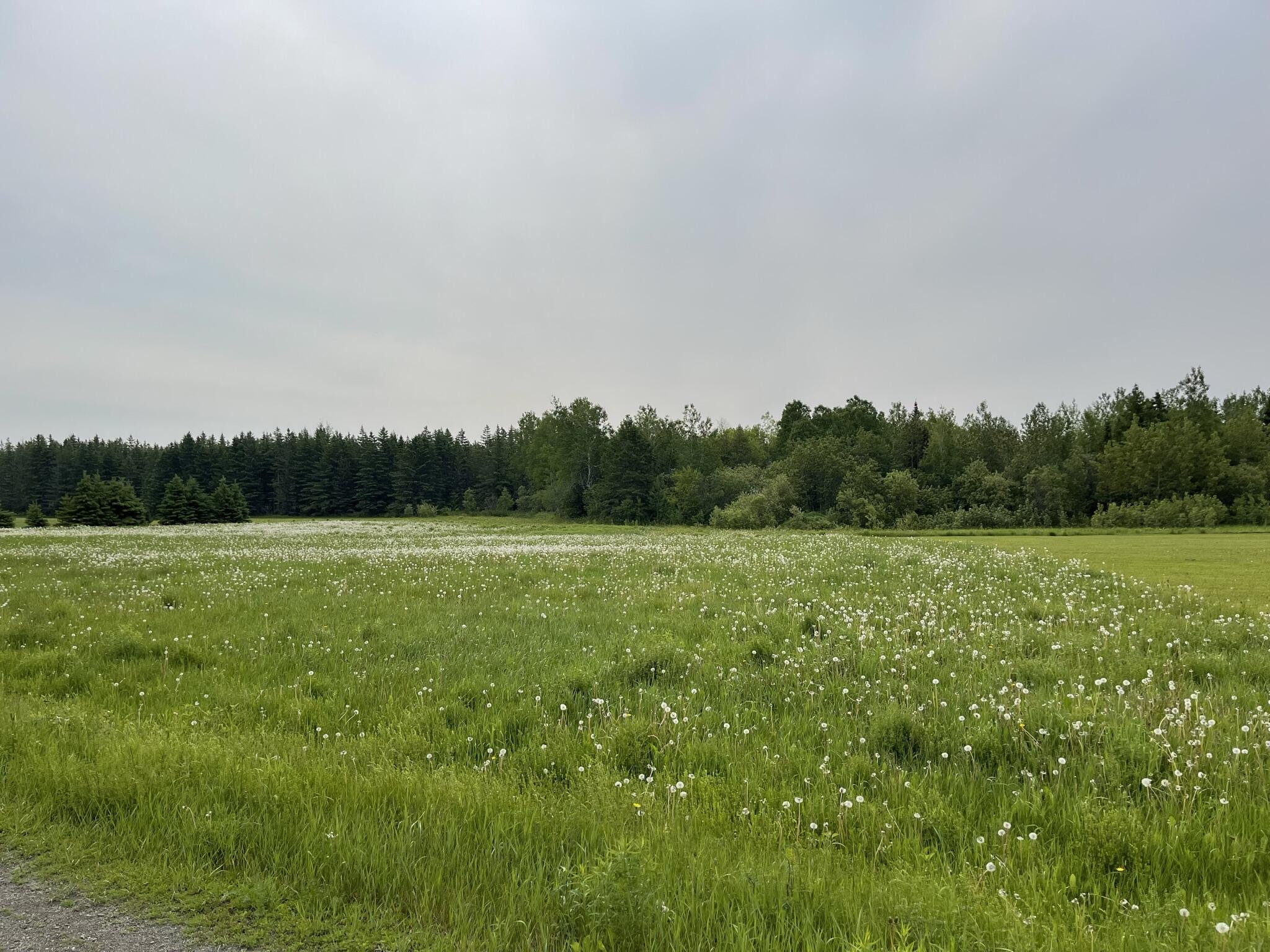 239 Pulcifur Road Mapleton, ME 04757 - Photo 3 of 6 IMG_1431