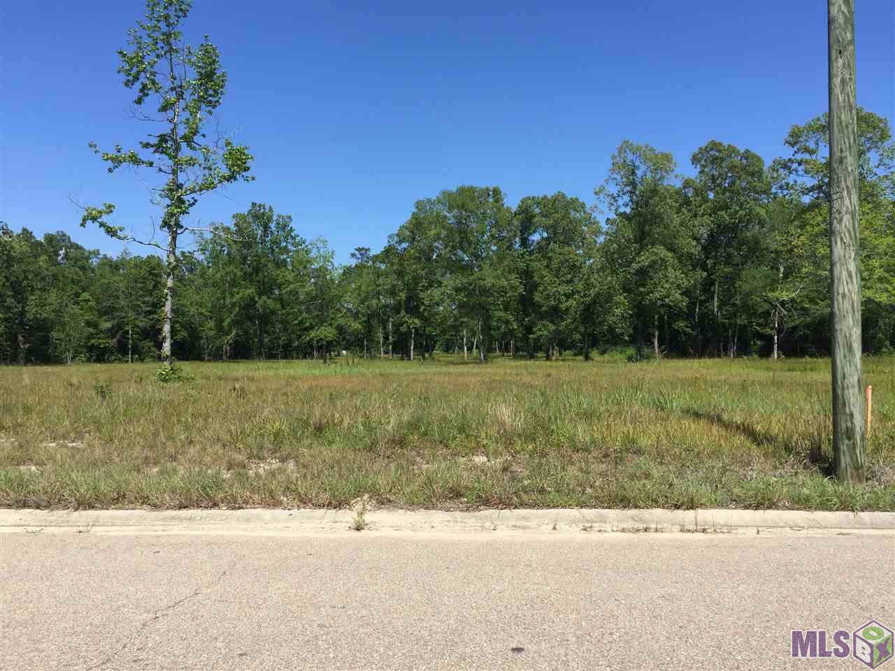 1 A Panther Road Springfield, LA 70462 - Photo 4 of 5